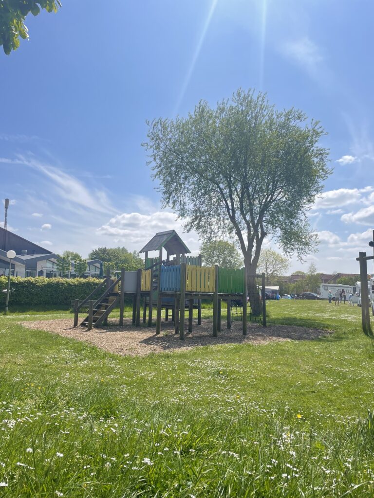 Speeltoestel met velle kleuren op ons kampeerveld. Met een boom ernaar op een mooi groene grasveld. Op Bloemketerp bij de comfortplaatsen