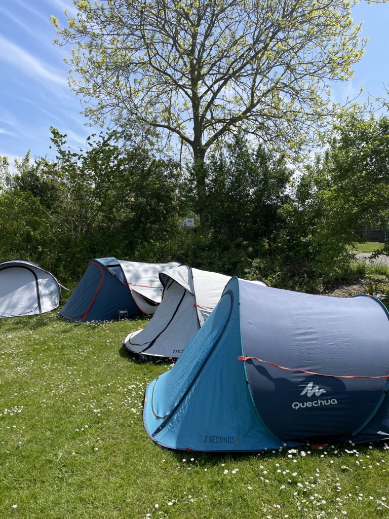 Tentjes op onze tentplaatsen in de natuur met groen en bosjes en bomen